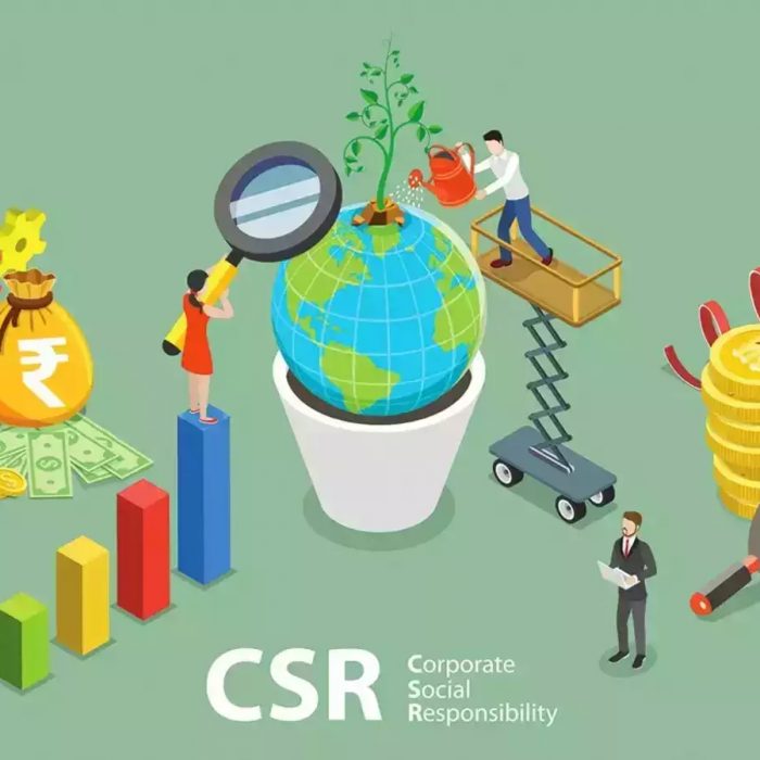 From Corporate Sharks to Social Champs: Evolution of CSR in Blended Finance for Sustainable Development